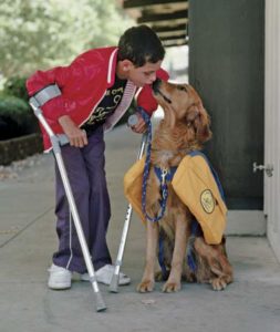 Dogsservicetohumans